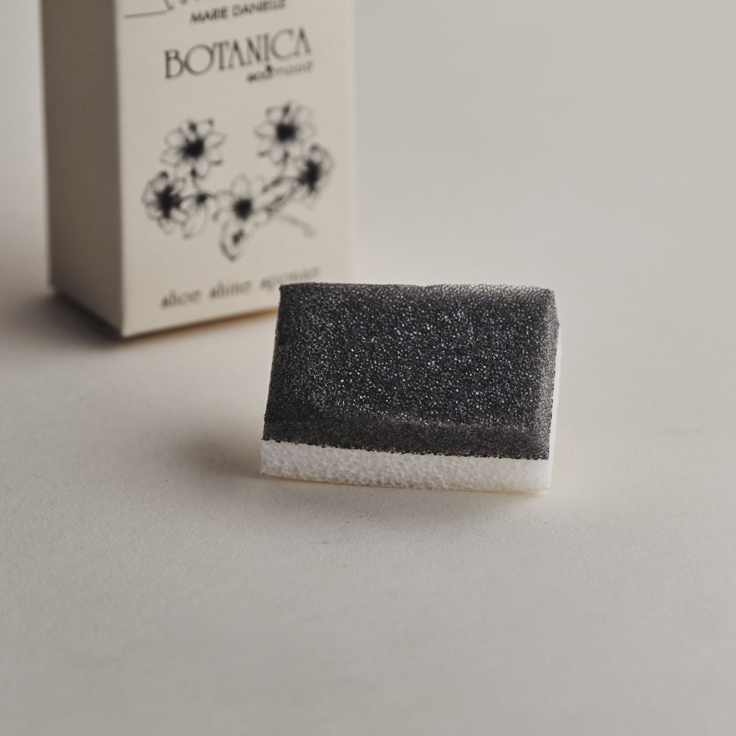 Cipőtisztító szivacs, Botanica